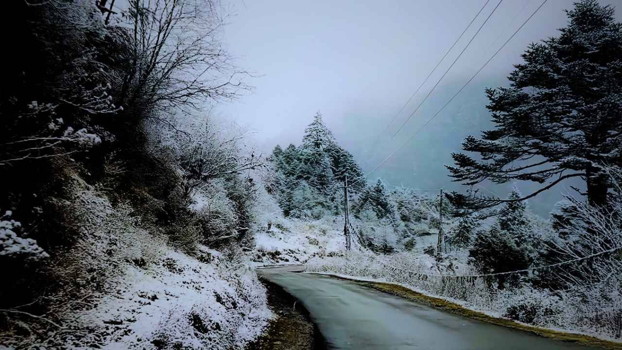 Here is the list of top 10 best homestays in Lachung for you to enjoy your trip at the heart of the mountains of Lachung region.