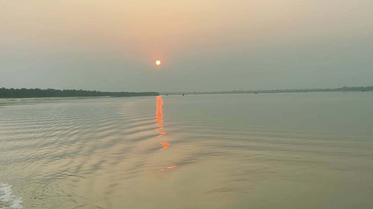 Discover the natural beauty and majesty of our mangrove forests with the best Sundarban Tour Guide by mapunseen.