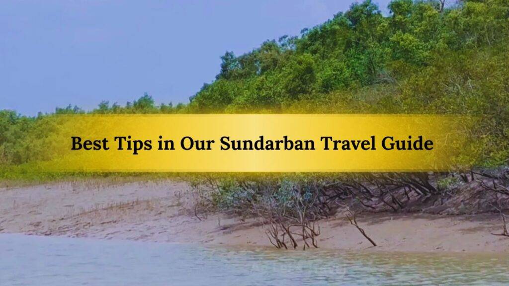 There are a few tips as a Sundarban travel guide that the tourists need to follow to make the journey more enjoyable!