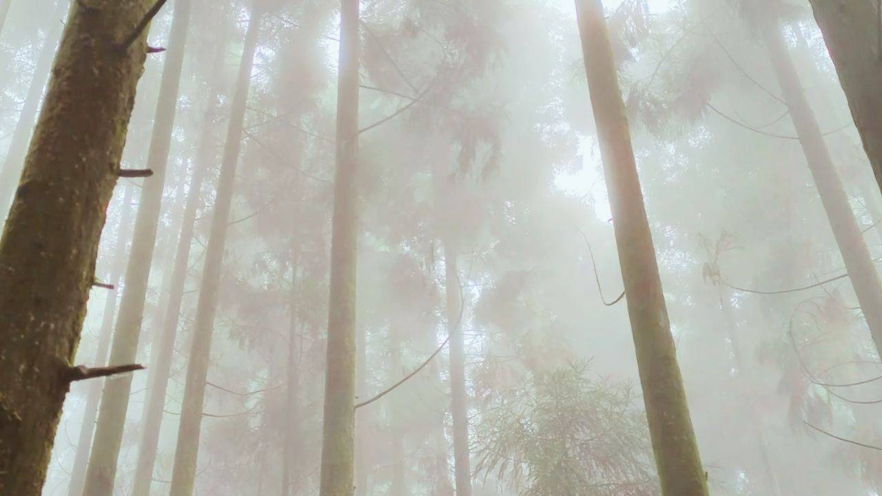 Discover the top 20 best homestays in Sittong, and enjoy breathtaking views, warm hospitality, and authentic local experiences.