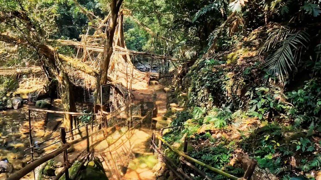 Local Experiences You Shouldn’t Miss: By Assam Tour Guide