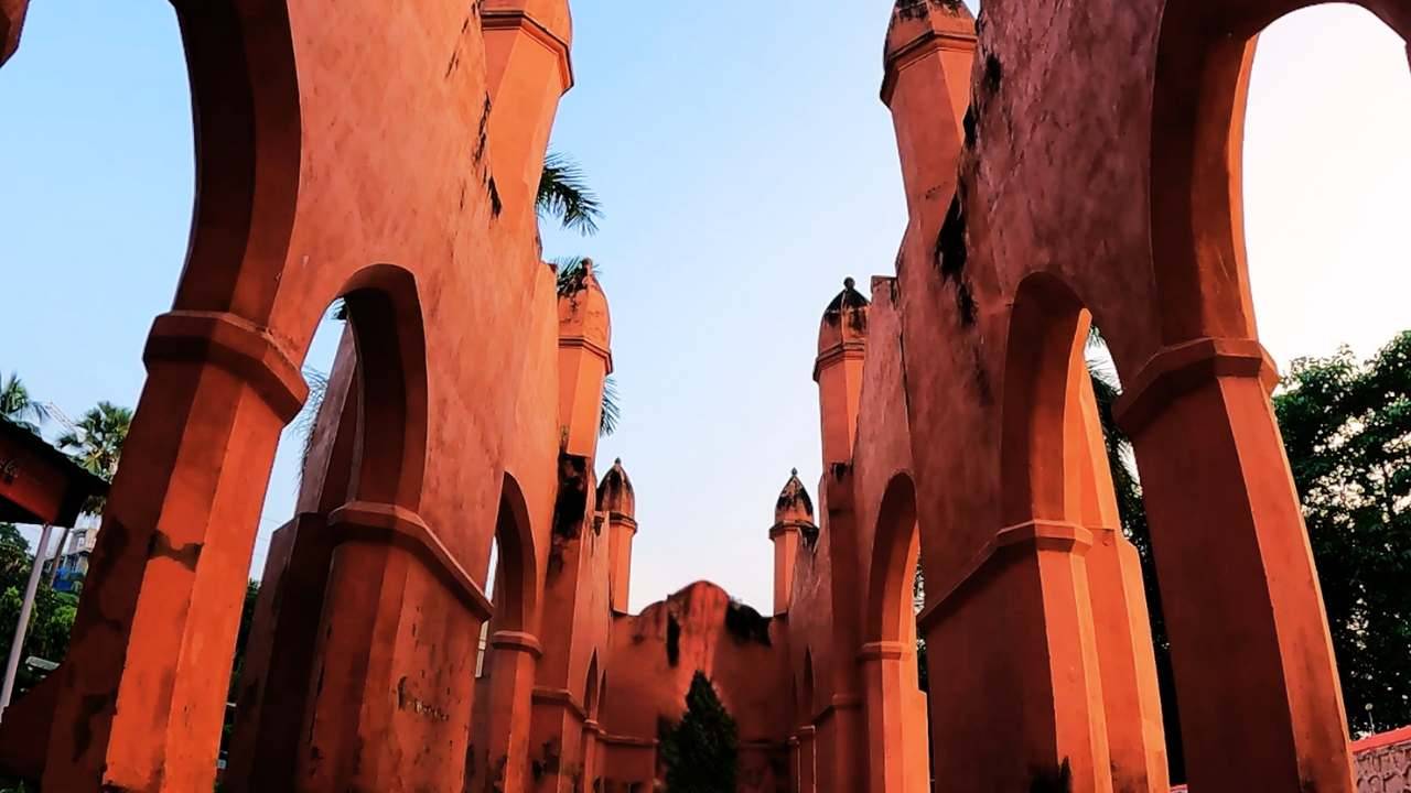 assam tour guide provides best service