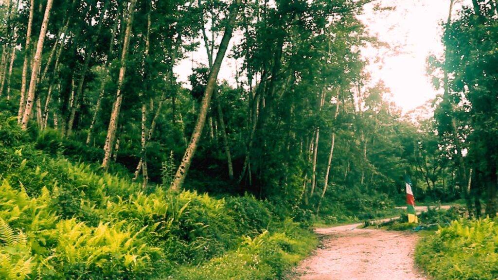 Offbeat places in Gangtok surrounded by lush greenery