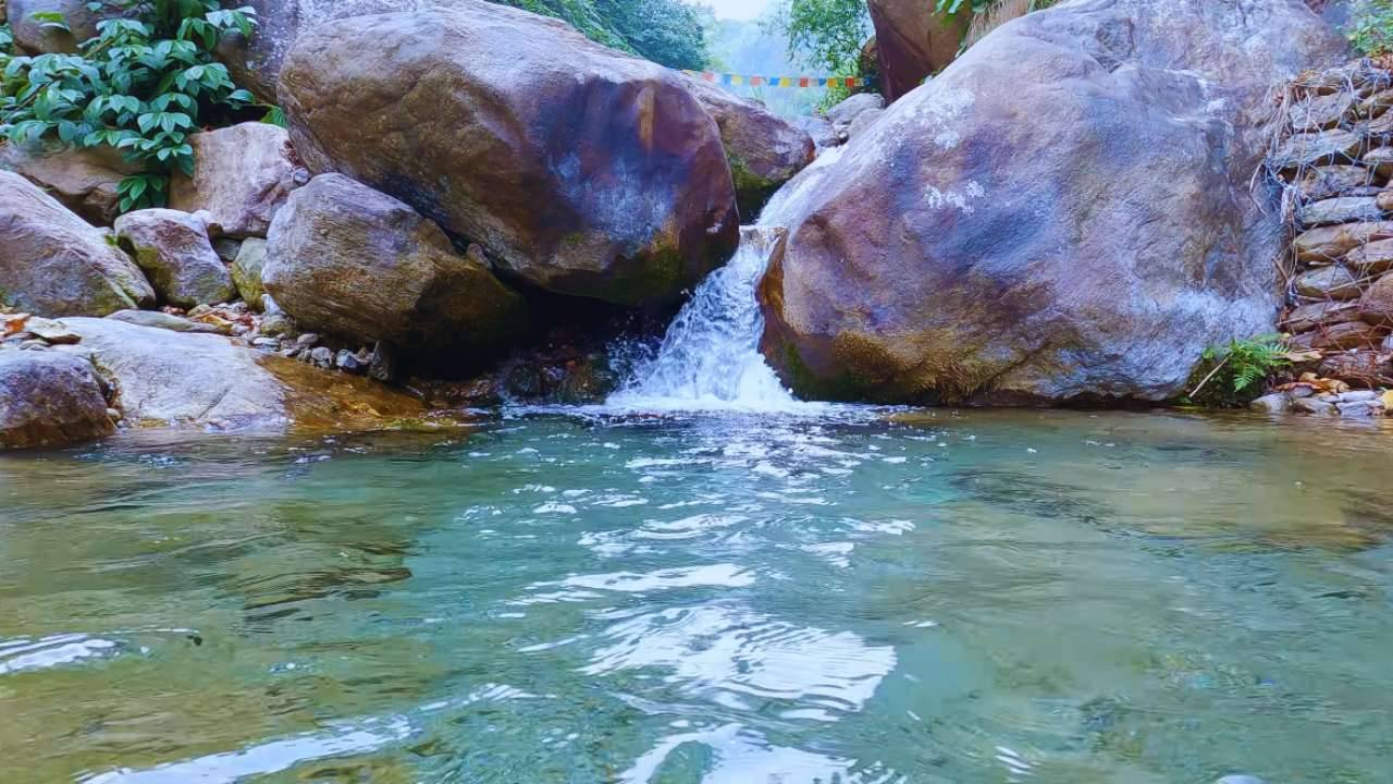 Bindu is one of the most serene, offbeat destinations in Dooars that you should definitely visit whenever you can!