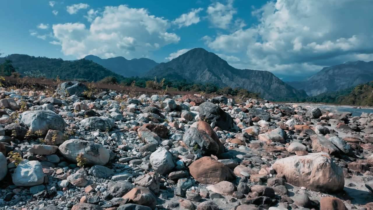 Visit Chilapata to explore the undiscovered corners of the North Bengal and experience something truly beautiful.