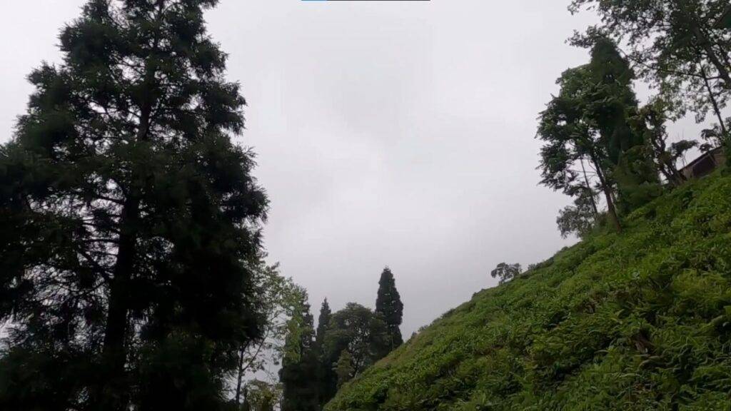 Rangaroon in the Lap of Mother Nature