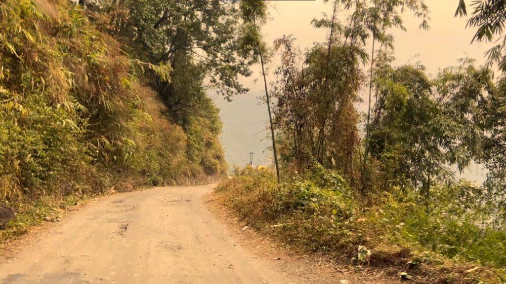 Paren Offers the Border View