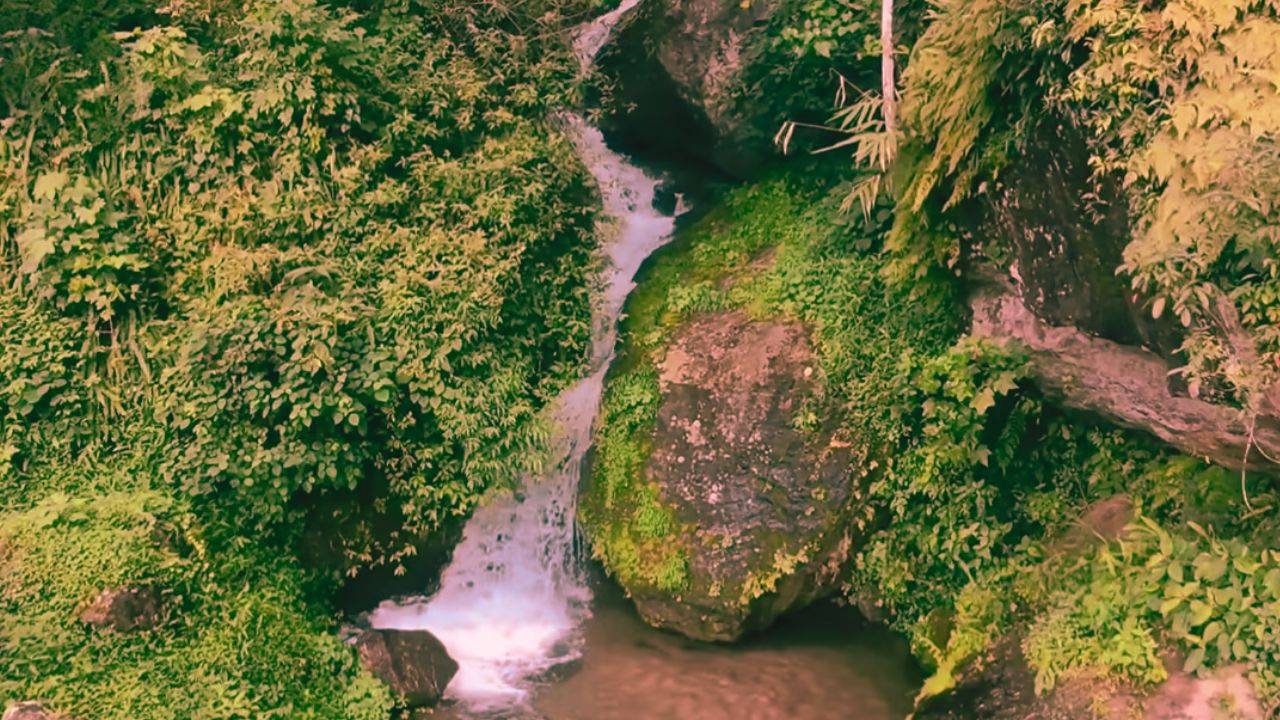 Dawaipani an offbeat place