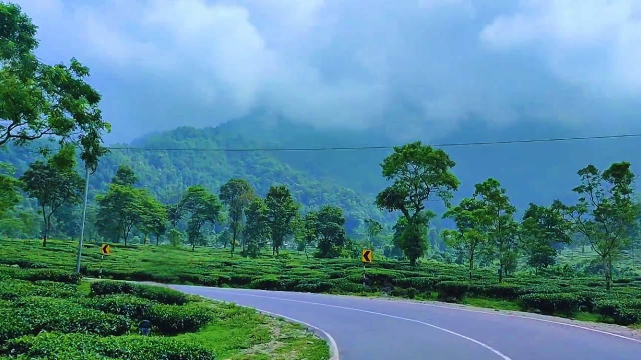 Know all about Lava, the brilliant offbeat tourist spot in the heart of our North Bengal and get lost in its majesty.