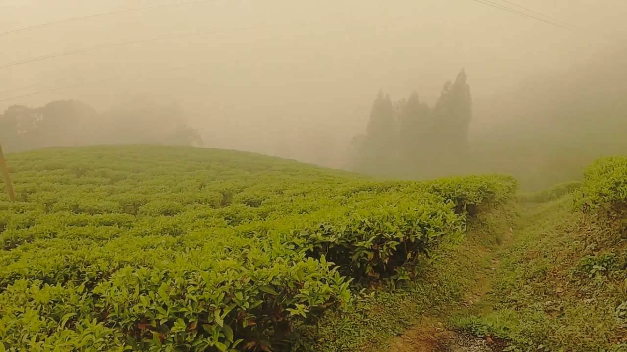 Lebong, offbeat places in North Bengal