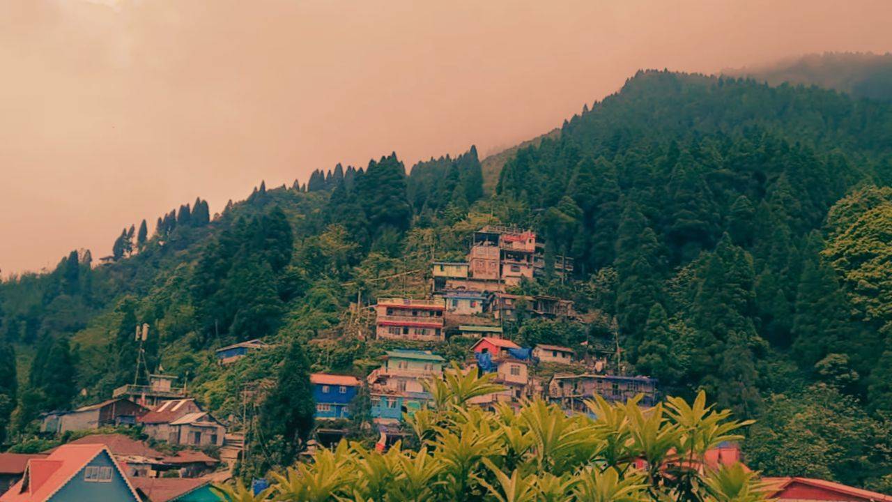 Manebhanjan - The Vintage Land