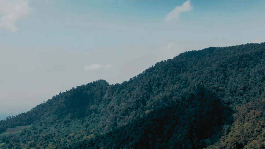 Why Go on a Trip to Pabong 