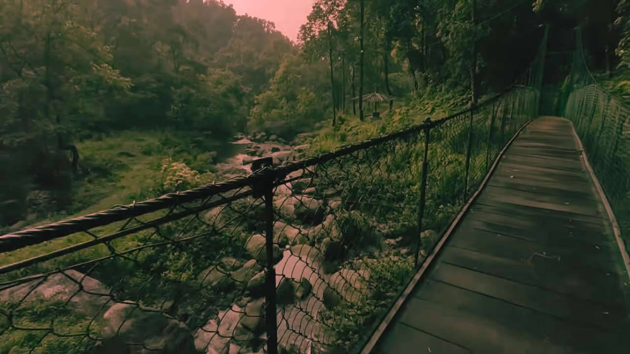 Rejuvenate your soul by visiting Suntalekhola in Dooars. You will be able to reconnect with your consciousness.