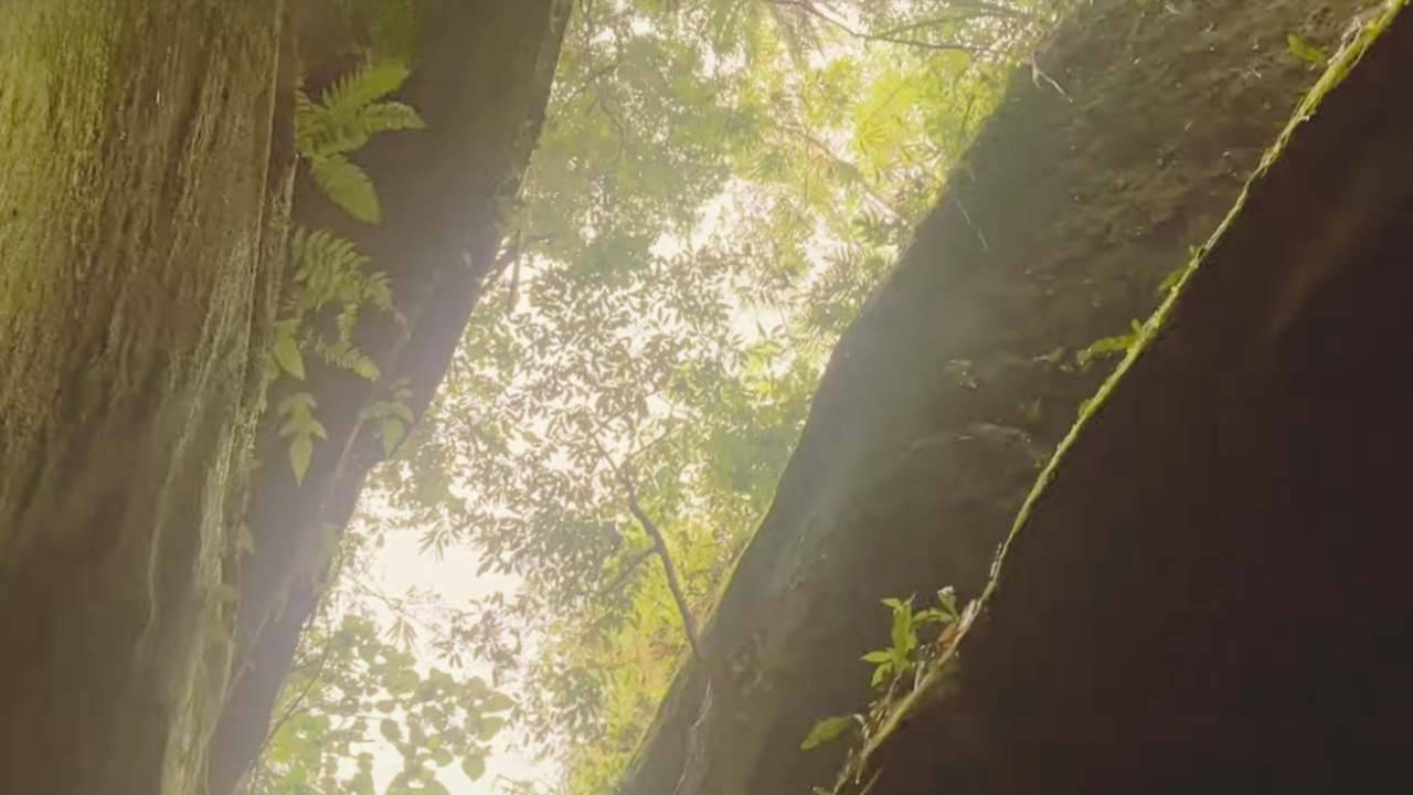 Explore Yelbong to experience every beauty nature has to offer. By reading this post by mapunseen you will have a better idea.