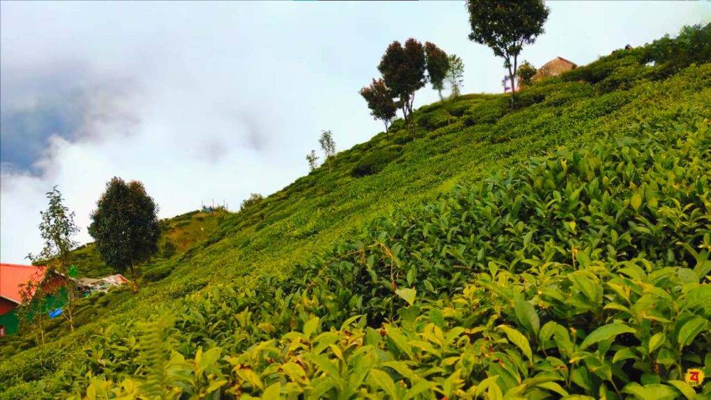 Ahaldara is a picturesque village