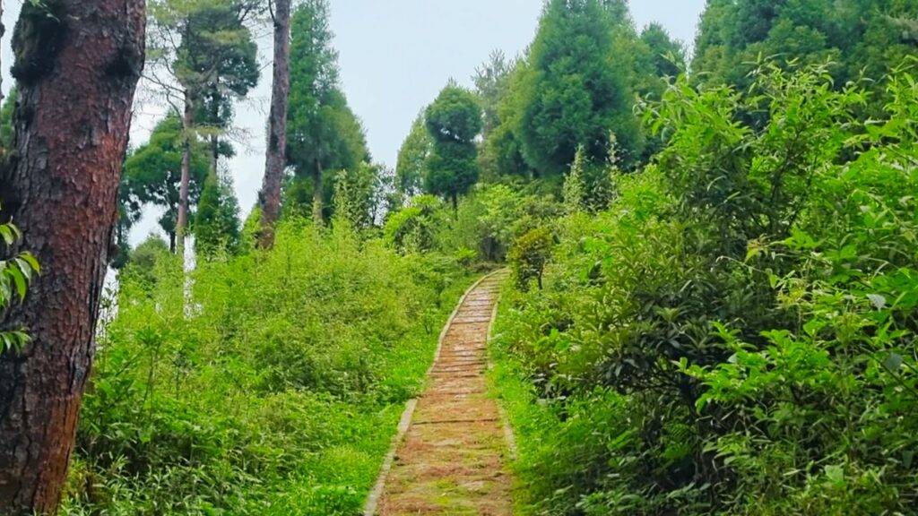 Dhotrey offbeat place