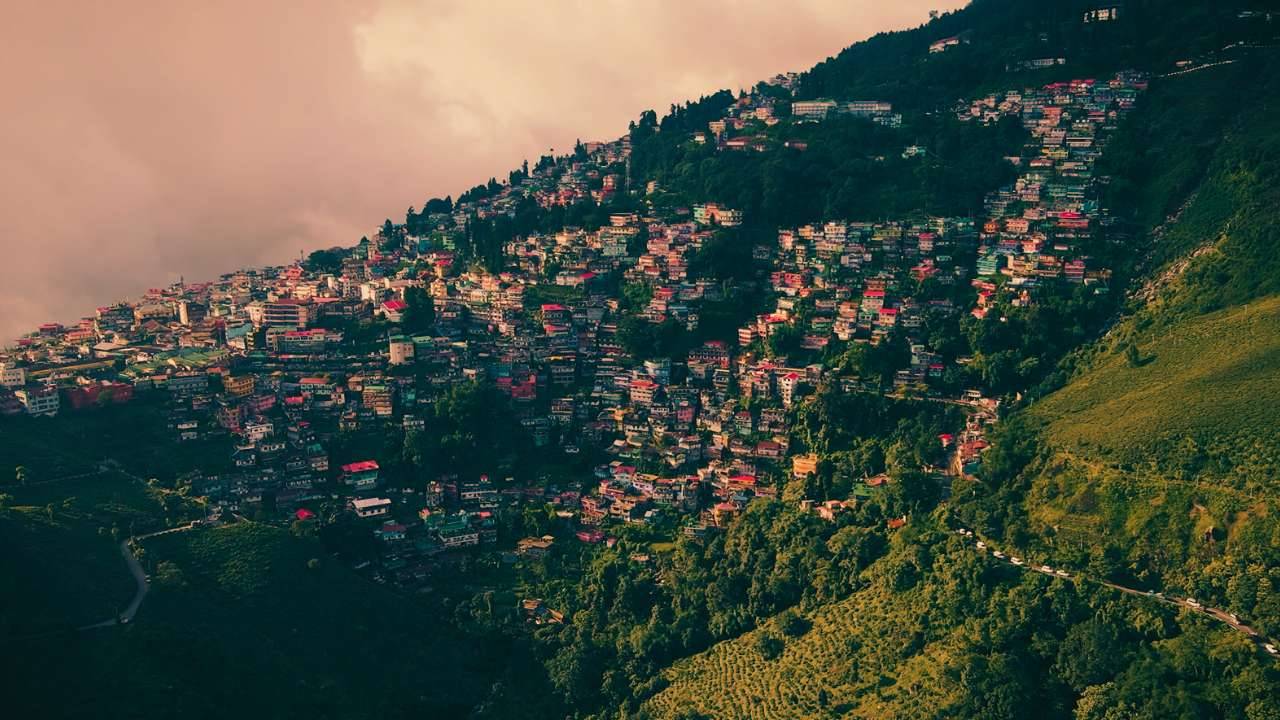 Kurseong is the Land of White Orchids