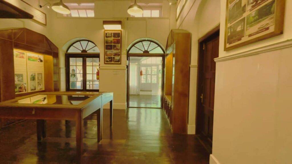 mungpoo - offbeat places in 
North Bengal
