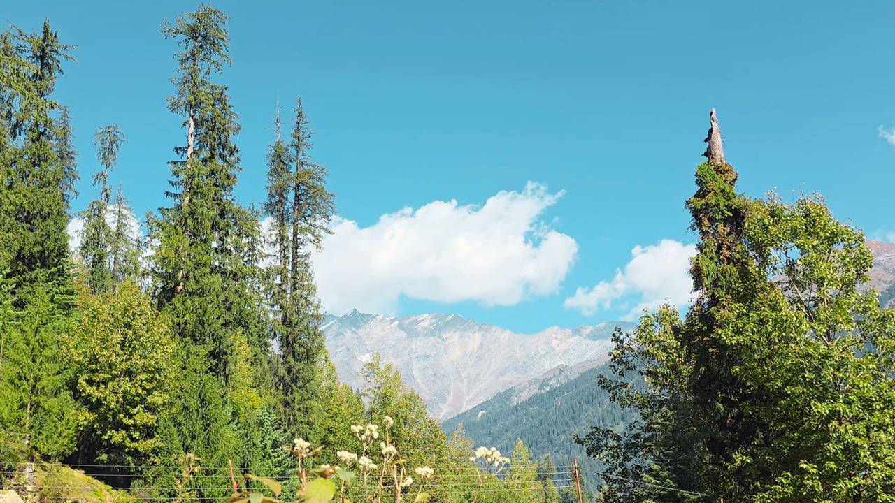 offbeat places in Himachal Pradesh is full of meadows