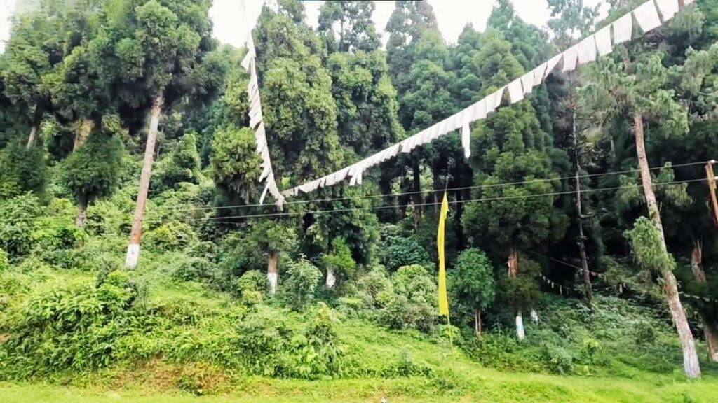 Daragaon: A Quiet Hamlet in The Kalimpong Hills