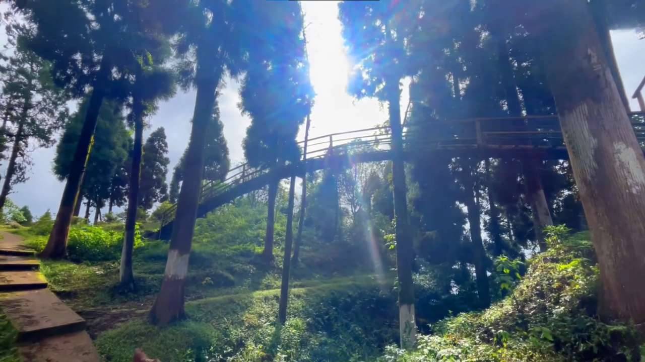 Kaffergaon offers the view of changing colours of the snow peaks of Kanchenjunga, attracting tourists every year.