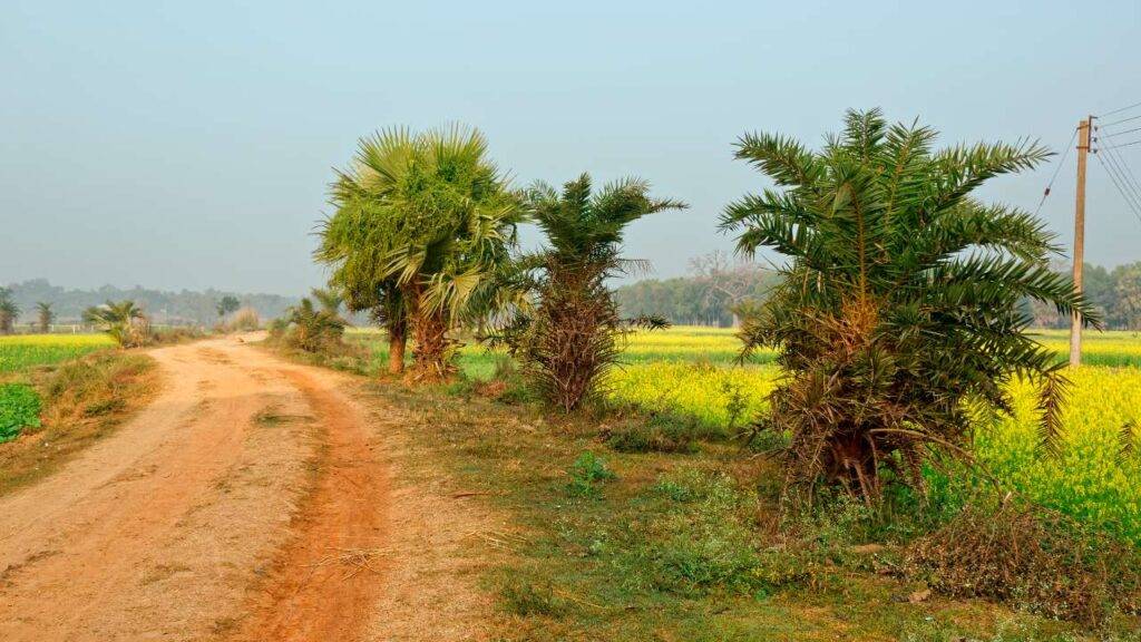 Top 10 Best Homestays in Shantiniketan