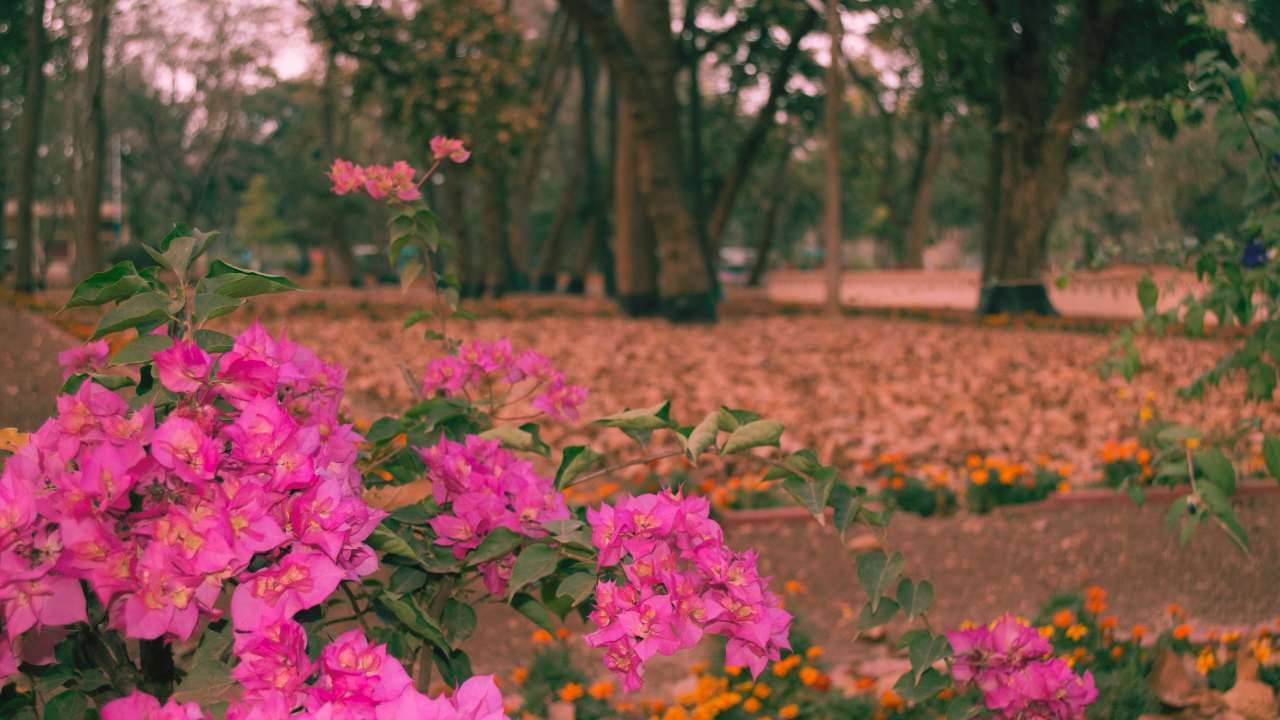 If you are looking for one place to stay, we have top 10 best homestays in Shantiniketan to offer you! Read this blog to learn more.